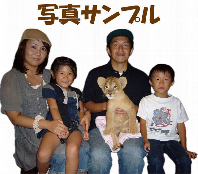 入校画像 例